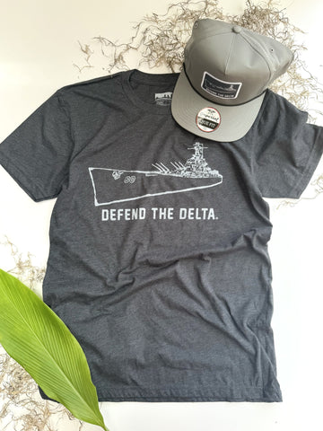 Defend the Delta®