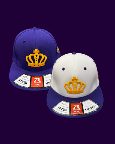 We Started It Performance Hat